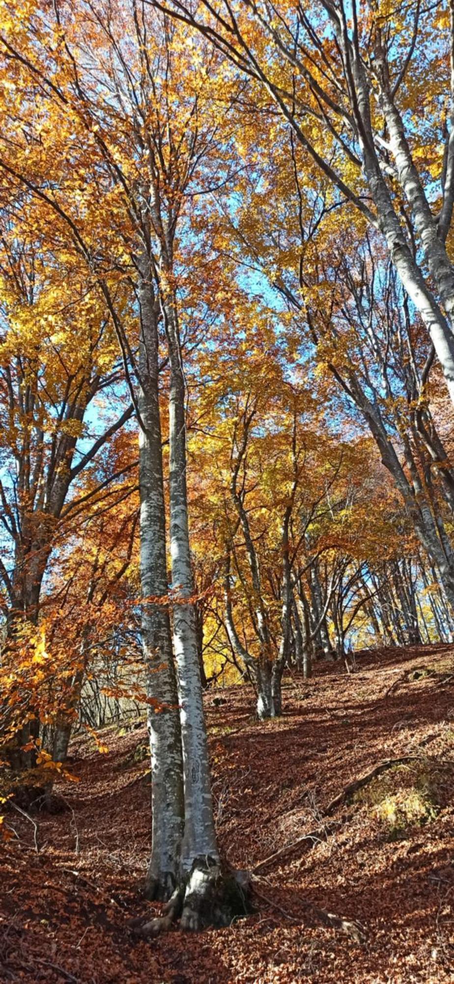 Ortighera Monolocale Relax Sulla Ciclabile Lenna Экстерьер фото