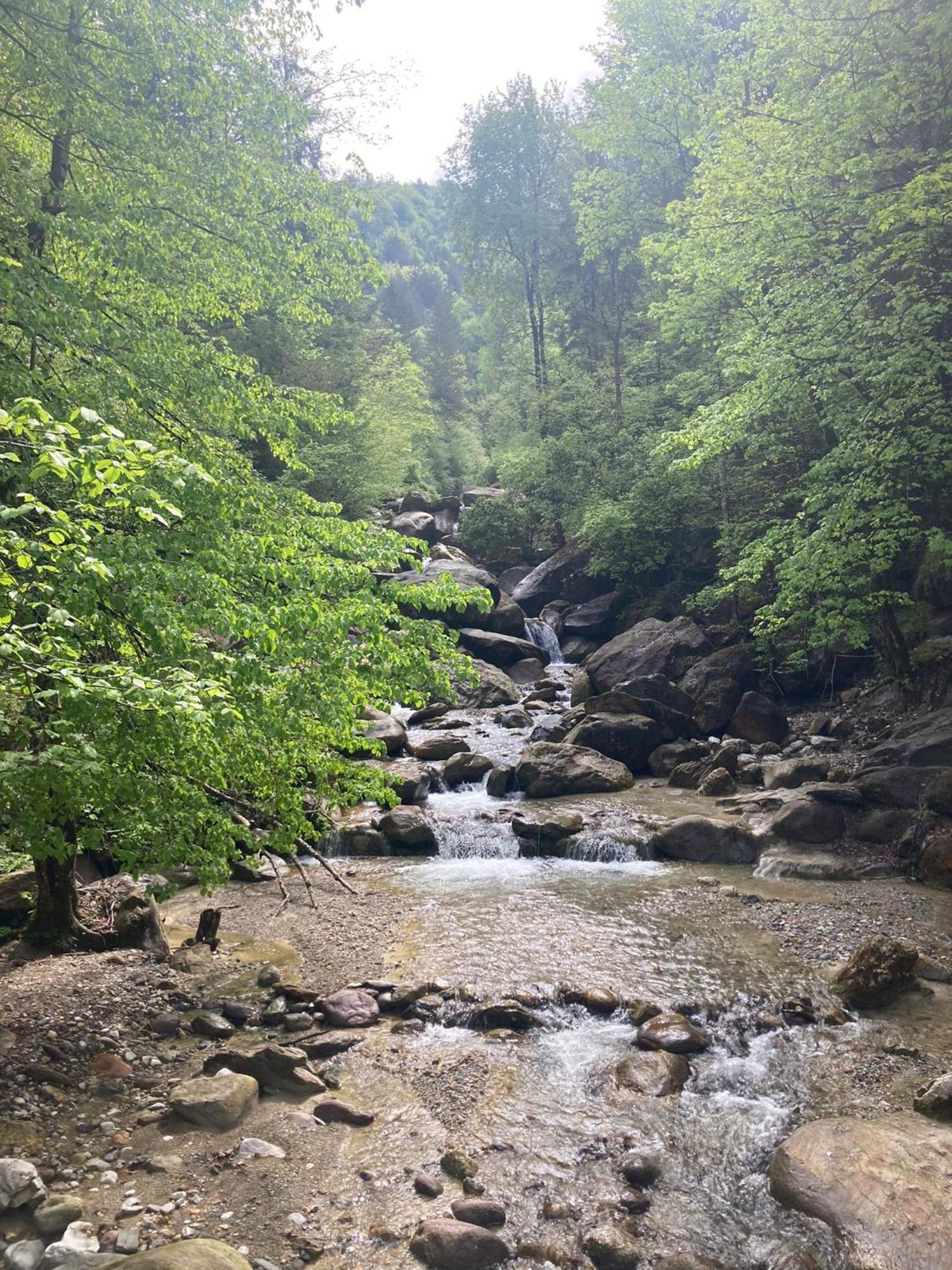 Ortighera Monolocale Relax Sulla Ciclabile Lenna Экстерьер фото