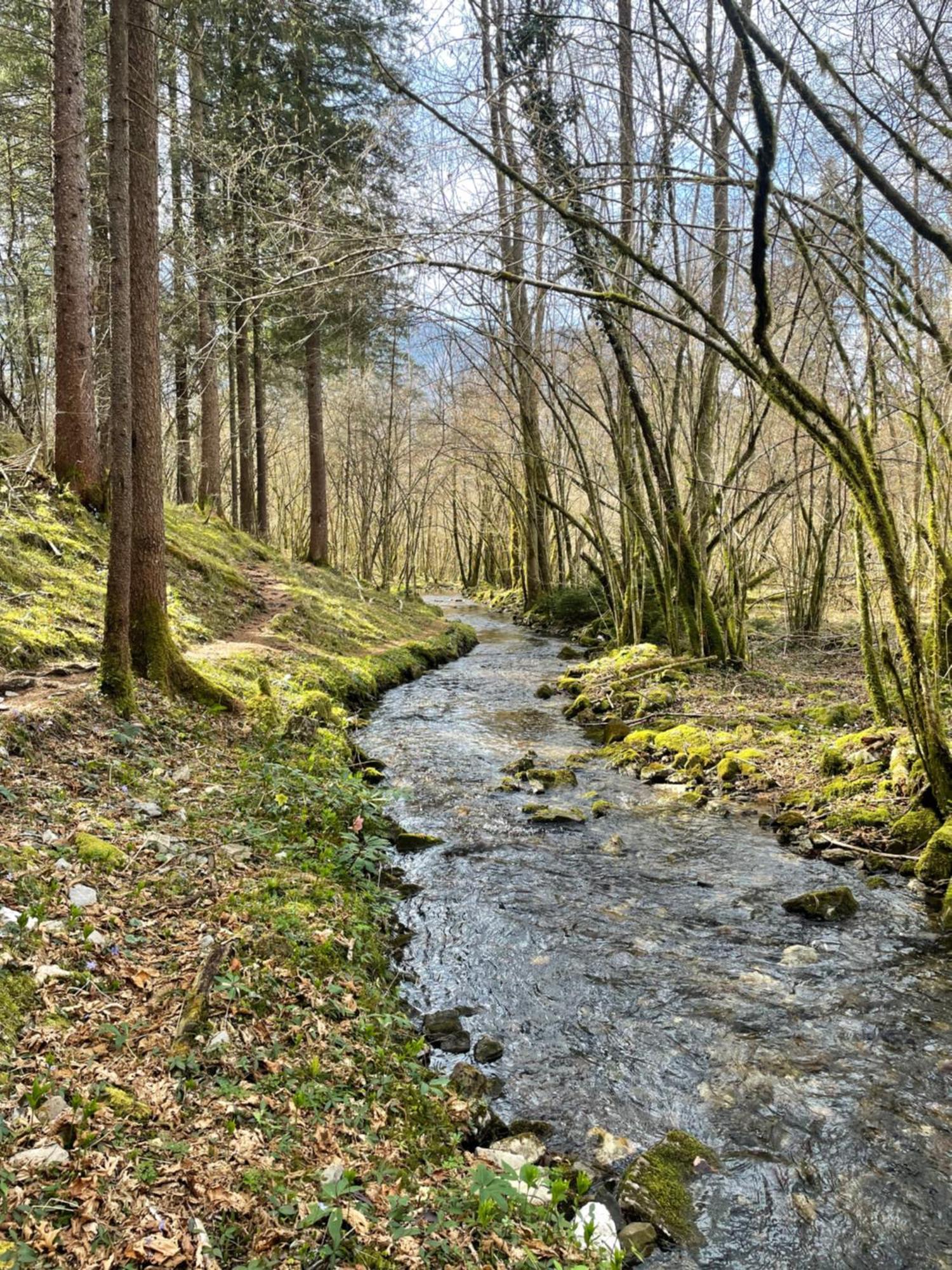 Ortighera Monolocale Relax Sulla Ciclabile Lenna Экстерьер фото
